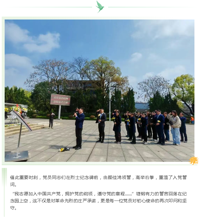 1781084928248_副本.png